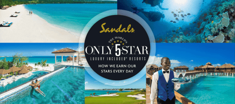Download a Sandals and Beaches Brochure and Start Planning Your Celebration Today